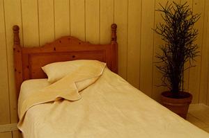 レントゲン調査をしてもらうためには