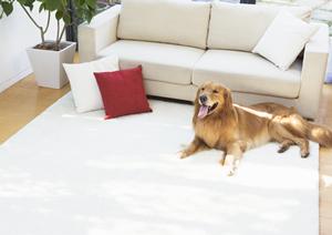 神戸市でリフォームを受けるなら