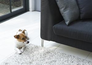 大阪で探すシャッター修理が安い店