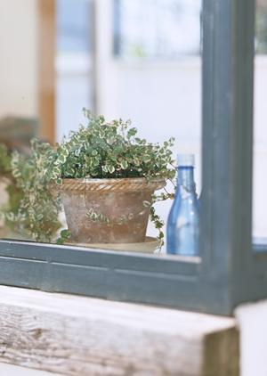 香川で質の高い塗装施工を探すのなら